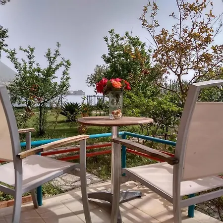 Palmyra Beachfront * 니드리