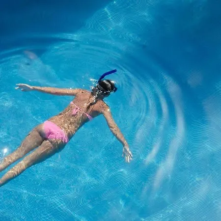 Palmyra Beachfront 아파트 *