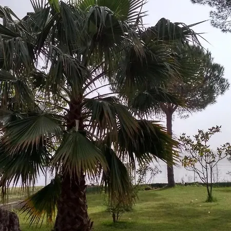 Διαμέρισμα Palmyra Beachfront