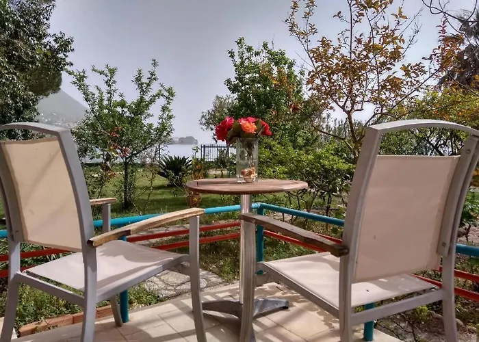 Palmyra Beachfront * 니드리