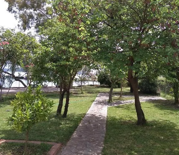 Palmyra Beachfront * 니드리