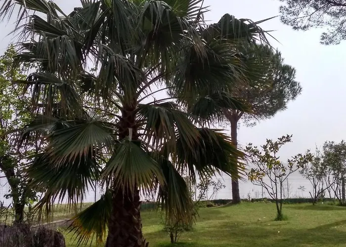 아파트 Palmyra Beachfront